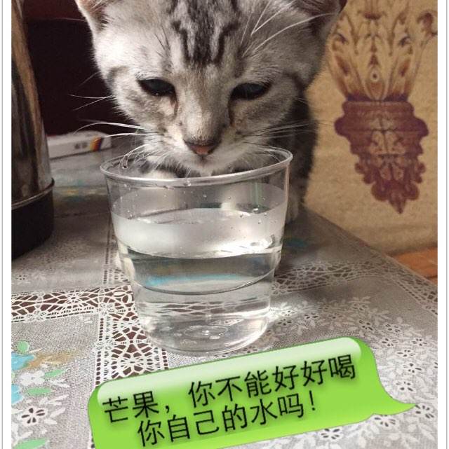 买个假的农业银行存折样子/图片